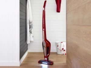 Electrolux_Ergorapido