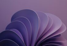 Откъде да купите Windows 11 Enterprise лиценз изгодно и сигурно