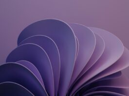 Откъде да купите Windows 11 Enterprise лиценз изгодно и сигурно