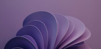 Откъде да купите Windows 11 Enterprise лиценз изгодно и сигурно